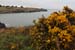 20120504_wicklow_head_coast01