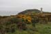 20120504_wicklow_head_oldlighthouseb01
