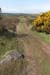 20120505_r669pathtoowennashadvalley