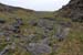20120506_aranbrannockonaght05