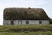 20120506_arancowragh3