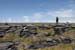 20120507_aranpollnabriskenaghcliffedgetow11
