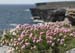 20120507_aranpollnabriskenaghcliffedgetow22