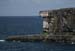20120507_aranwhirpeashead04