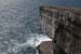20120507_aranwhirpeashead06
