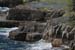 20120507_aranwhirpeashead18
