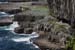 20120507_aranwhirpeashead19