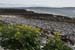 20120508_aranbarfeentabay1