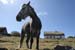 20120508_arancowragh6