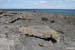 20120508_aranmooltiabay1