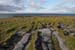 20120508_arannalheaheadcliffedge10