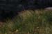 20120508_arannalheaheadcliffedge16