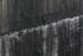 20120508_arannalheaheadcliffsface6