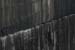 20120508_arannalheaheadcliffsface7