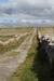 20120508_aranoghillcentralpath04