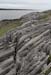 20120509_aranculoogarrow06