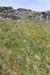 20120509_aranculoogarrow14