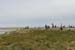 20120509_arankilleanycemetery2