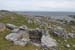 20120509_arankilleanyfromsw4