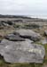 20120509_aranpuffingholee01