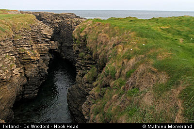 hookheadcoast09