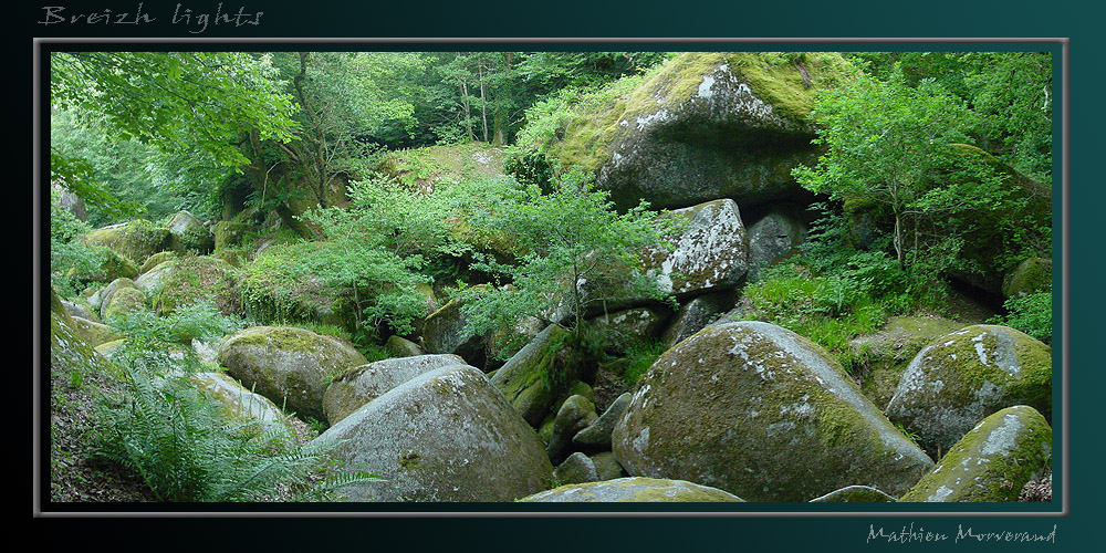 breizhlights_0027