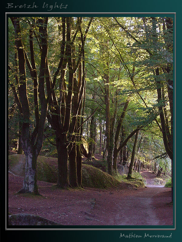 breizhlights_0030