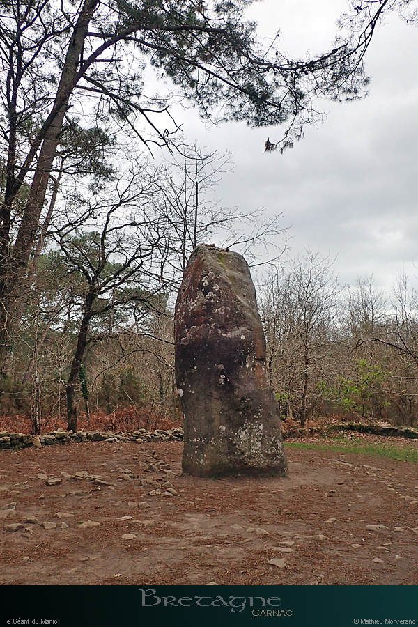 20190316_carnac_geantmanio1