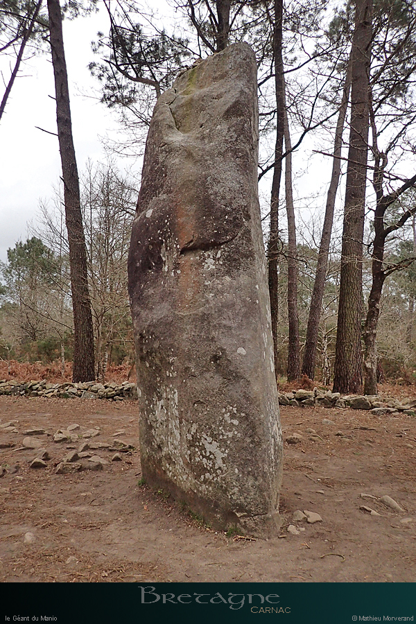 20190316_carnac_geantmanio2