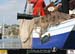pirates2_04