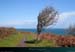 20190317_groix_cn_begerskeulsentier1
