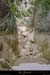 20040829_conclusesdelaiguillon_02_3