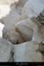 20040829_conclusesdelaiguillon_12_4