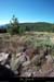 20130811_malonsetelze_chamdecessenades1