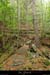 20131012_gard_malons_sentierdecessenades2