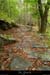 20131012_gard_malons_sentierdecessenades5