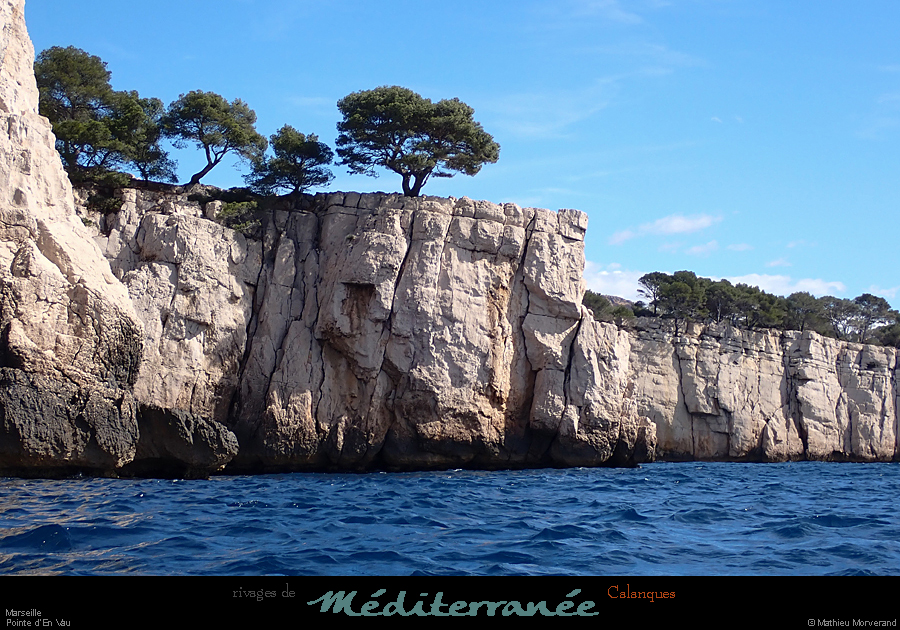 20210317_196
