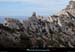 20190310_cal_malvallonsud_vallon2