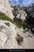 20190310_cal_podestat_sentier4
