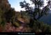 20111223_esterel_cheminducoldeslentisques2