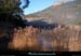 20111223_esterel_etangsslacroupebaptiston