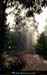 20111223_esterel_pistedumamelondesaulnes2
