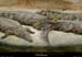 20020714_fermeauxcrocodiles_24