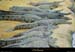 20020714_fermeauxcrocodiles_32