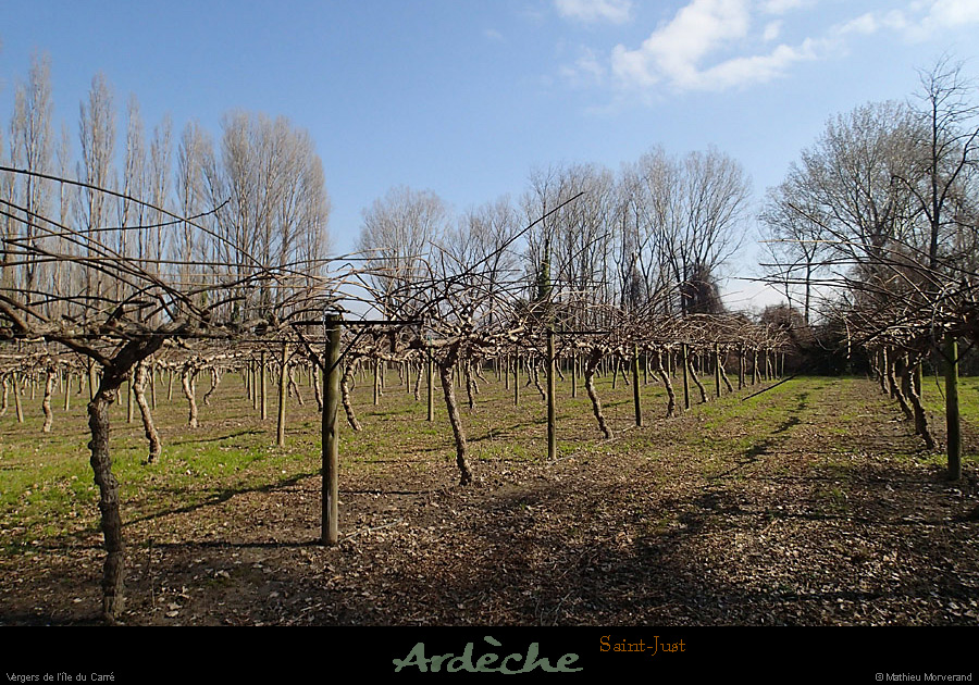 20150220_stjust_iledecarre1