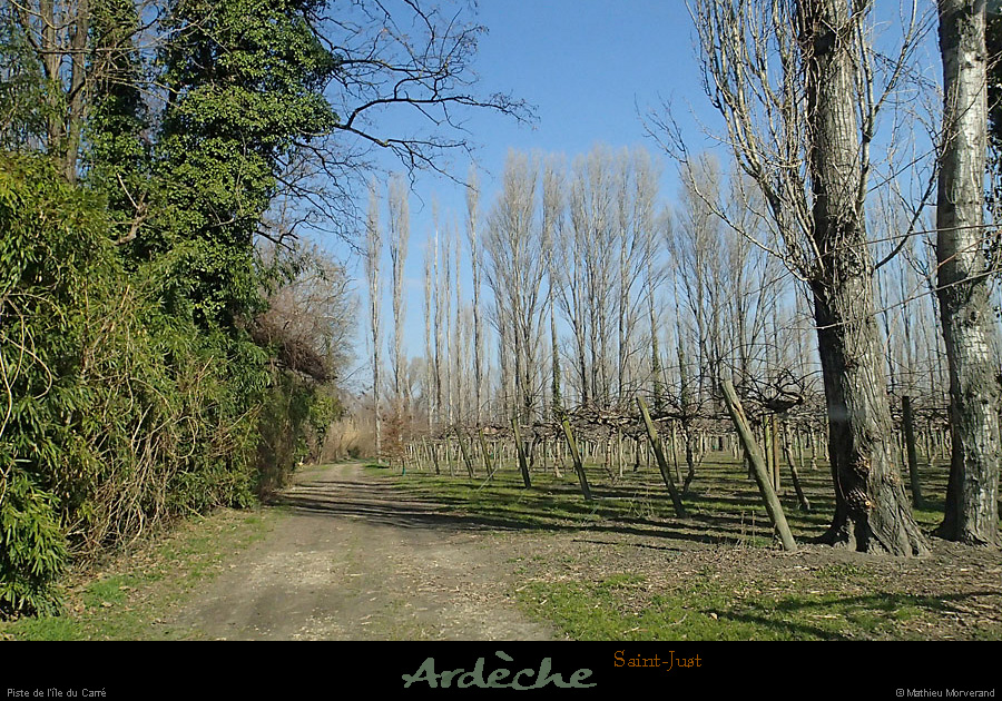 20150220_stjust_iledecarrepiste