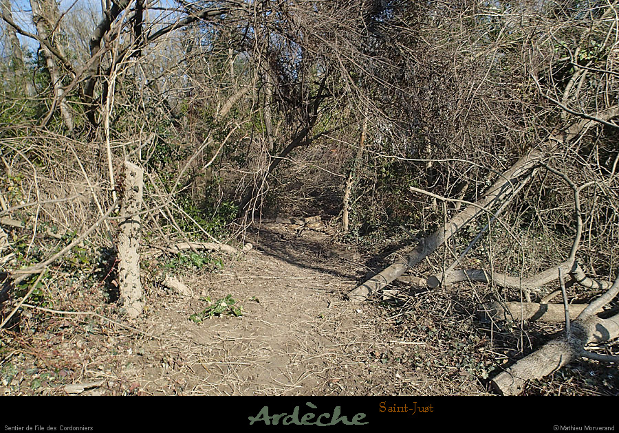 20150220_stjust_sentierilecordonniers04