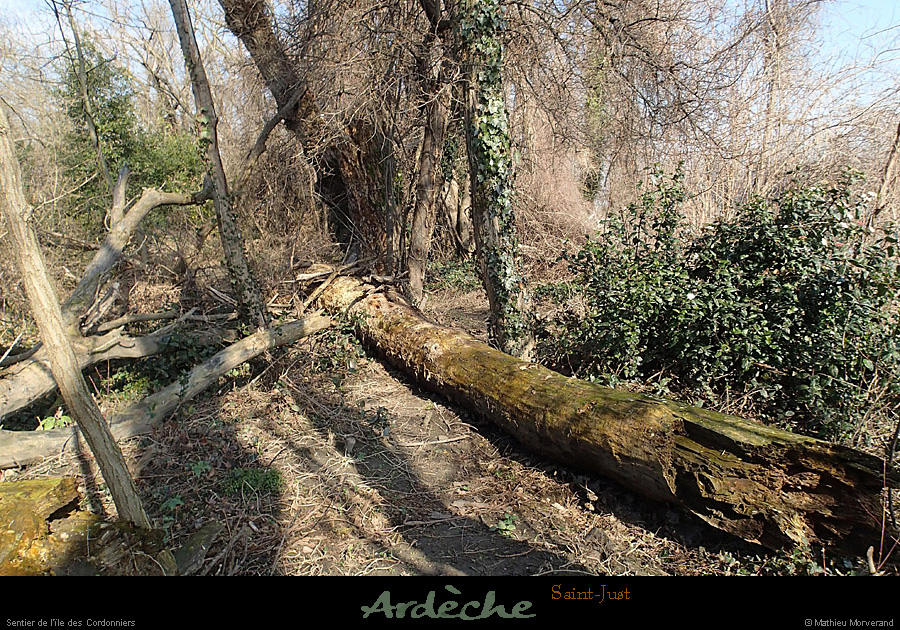20150220_stjust_sentierilecordonniers10