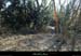 20150220_stjust_sentierilecordonniers01