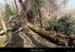 20150220_stjust_sentierilecordonniers10